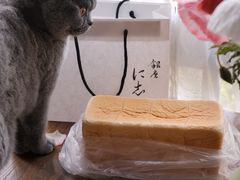 -银座仁志川·生吐司专门店(香港广场店)