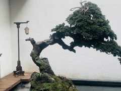 -觀芷隐轩