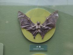 -国家自然博物馆