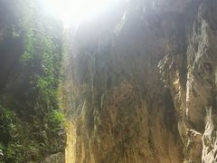 -武陵山森林公园