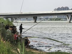 -灞河西岸滨河公园