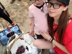 -马陆小张葡萄园农家乐