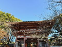 -醍醐寺