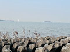 -上海滨江森林公园