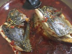 -风鑫铃罗非鱼(道沟店)