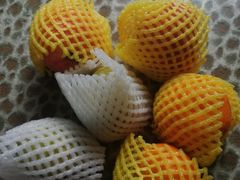 -麦德龙(闵行店)