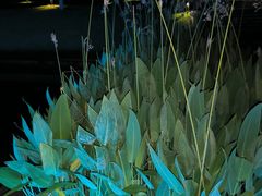 -千岛湖-欢乐水世界