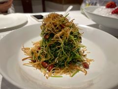 巧拌豆苗-四季民福烤鸭店(王府井灯市口店)