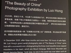 -罗红摄影艺术馆