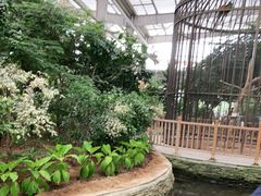 -南宫五洲植物乐园