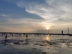 -碧海金沙