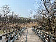 -西湖风景区-江洋畈生态公园