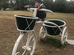 -雨花胜境