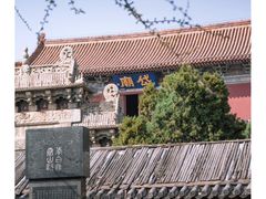 -泰山花样年华景区