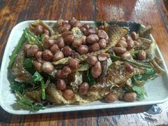 -章记正宗南岗鱼蛋火锅