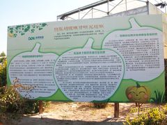 北京观光南瓜园&nbsp;(59)-观光南瓜园