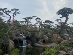 -罗红摄影艺术馆