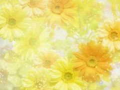 -蓝海国际大饭店·蓝钻自助百汇(兰山店)