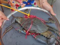 -Ministry of Crab•MOC(交子大道店)