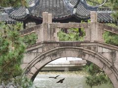 -上海醉白池公园