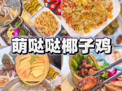 -亚龙湾热带天堂森林公园