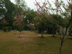 android_upload_pic-船政文化景区-罗星塔公园