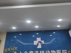 -全心全意连锁动物医院·微创中心·内科急重症·心脏专科(丰管路店)