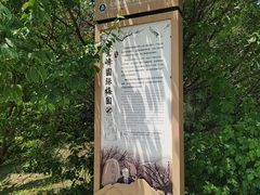 -北京鹫峰国家森林公园