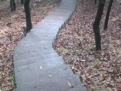 -火炉山森林公园