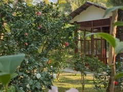 -深圳国际园林花卉博览园