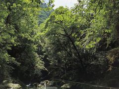 -西岭雪山大飞水景区