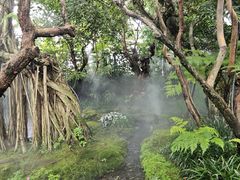 -Chom Cafe and Restaurant