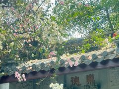 -深圳国际园林花卉博览园