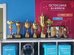 -八爪矩阵极限运动馆·儿童平衡车·感统训练(南海子公园校区)