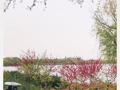 -大兴滨河森林公园