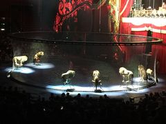 -珠海横琴长隆《卡卡虎奇遇记》