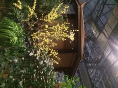 iphone_upload_pic-森谷美食公园(杨行店)