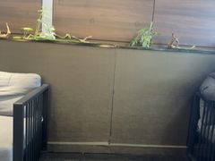 -成都中升之星奔驰4S店