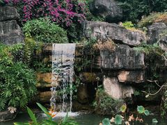 -广州神农草堂中医药博物馆