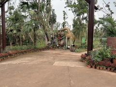 -海南热带野生动植物园