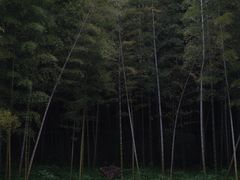 -兰亭风景区