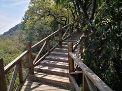 -大岭沟猕猴桃谷风景区