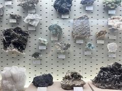 -浙江自然博物院(杭州馆)