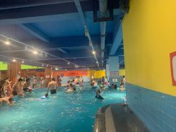 -宝燕乐园(闵行旗舰店)