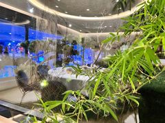 -九献创意菜·牛排馆(亮马河花园店)