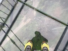 -梦幻奥陶纪景区