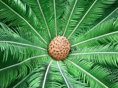 -北京植物园-展览温室