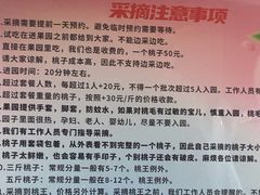 -老袁家蜜桃农场·阳山水蜜桃