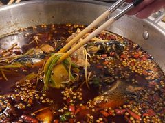 -味之绝热血美蛙鱼火锅(中坝店)
