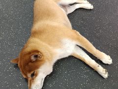 -博纳私人订制健身(中集美兰湖店)